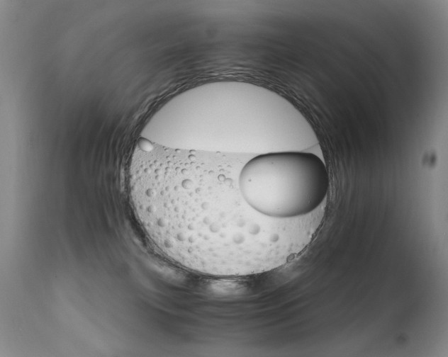X0000111930183200907271322