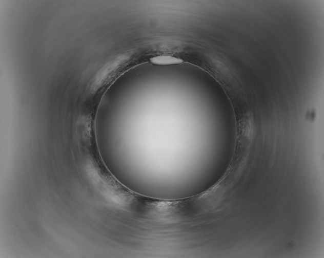 X0000111930184200907271322