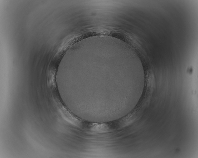 X0000111930185200907271322