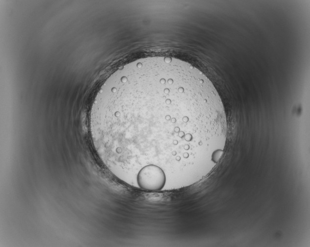 X0000111930187200907271322