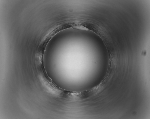 X0000111930188200907271322