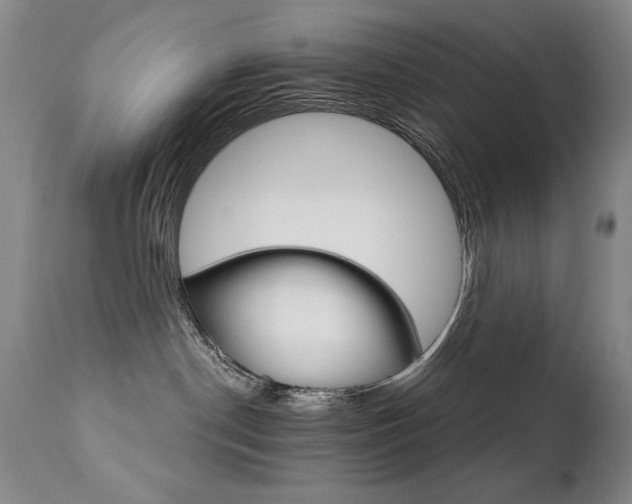 X0000111930190200907271322