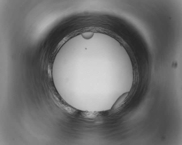 X0000111930191200907271322
