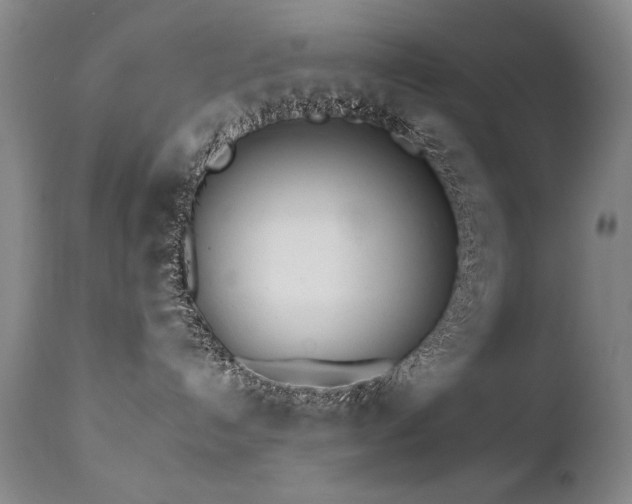 X0000111930192200907271322