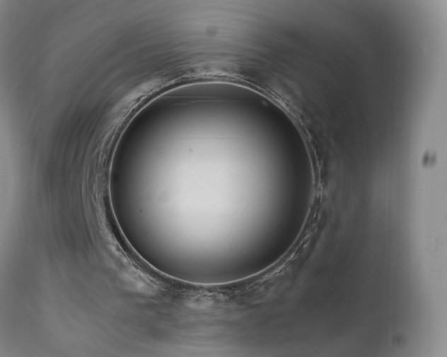 X0000111930193200907271321