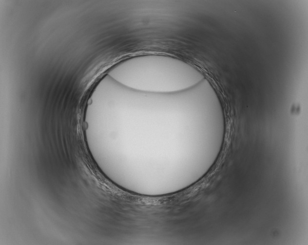X0000111930194200907271321
