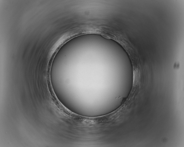 X0000111930195200907271321