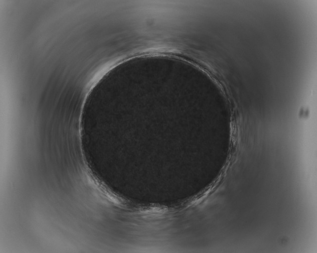X0000111930196200907271321