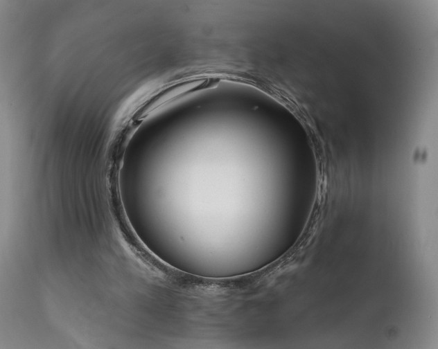 X0000111930197200907271321