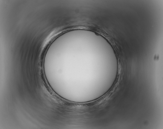 X0000111930198200907271321