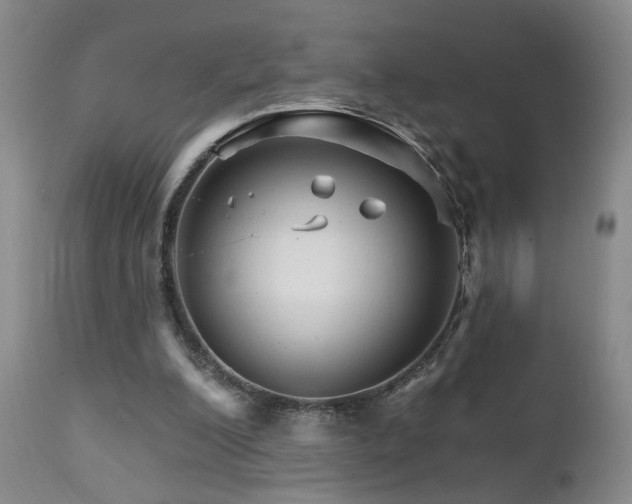 X0000111930200200907271321