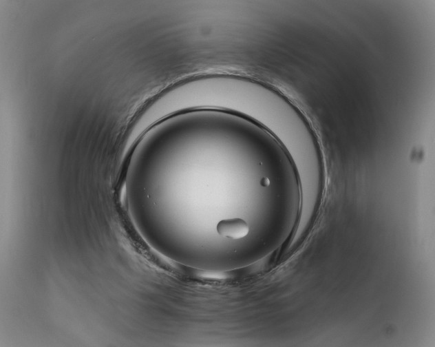 X0000111930201200907271321