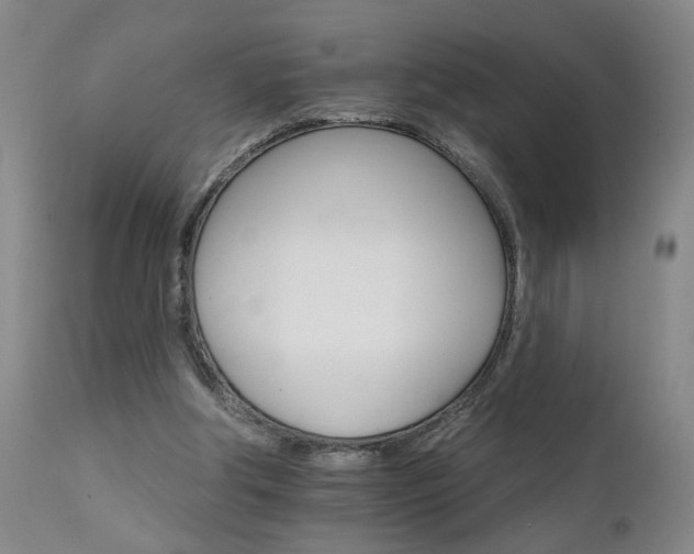 X0000111930202200907271321
