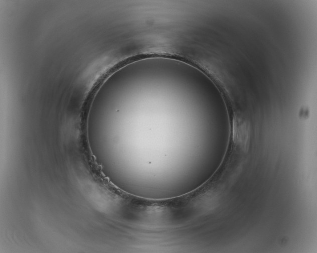 X0000111930204200907271321