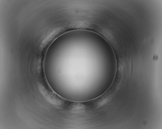 X0000111930206200907271321