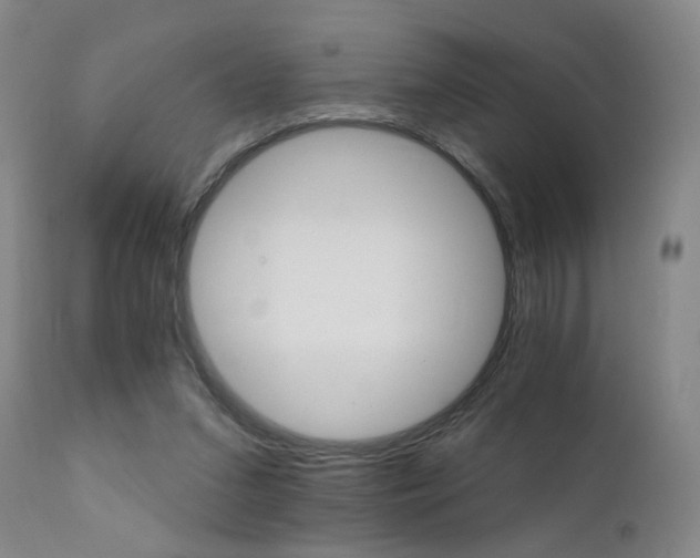 X0000111930207200907271321