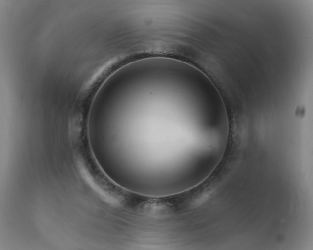 X0000111930208200907271321