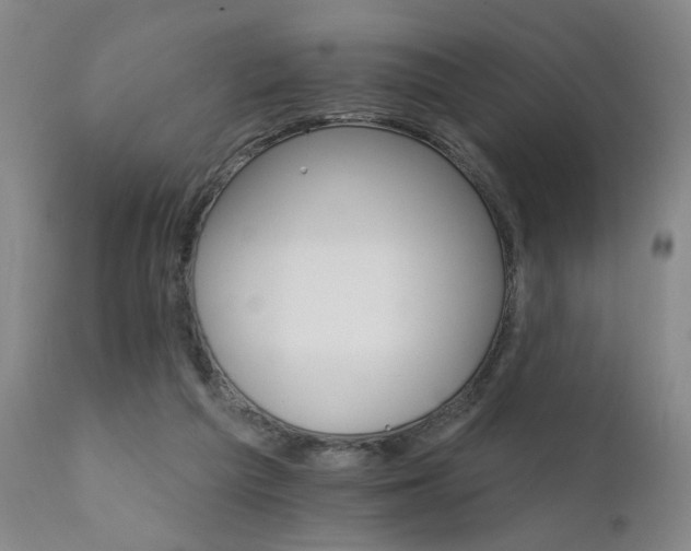 X0000111930209200907271321