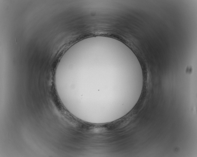 X0000111930210200907271321