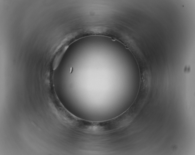 X0000111930212200907271321