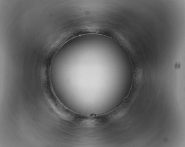 X0000111930213200907271321