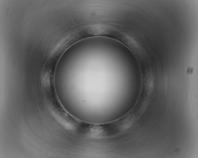 X0000111930214200907271321