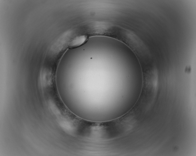 X0000111930216200907271321