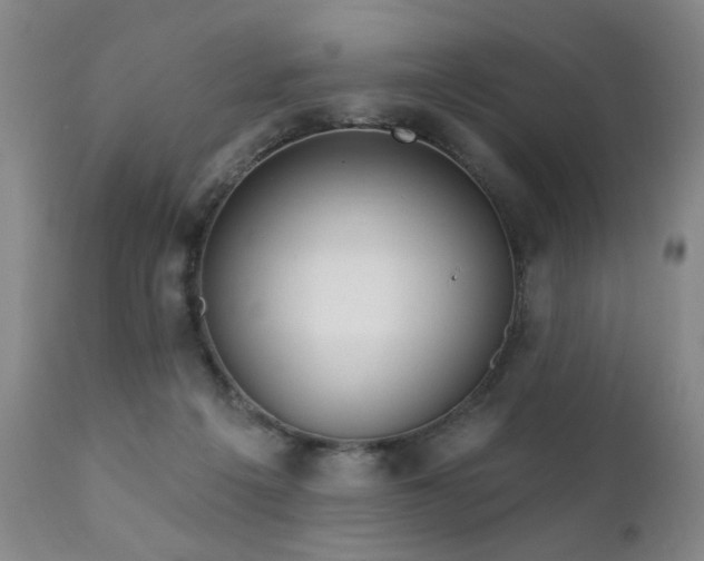 X0000111930217200907271321