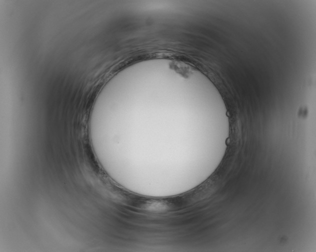 X0000111930218200907271321