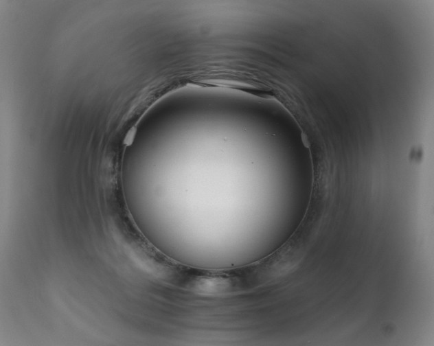 X0000111930220200907271321