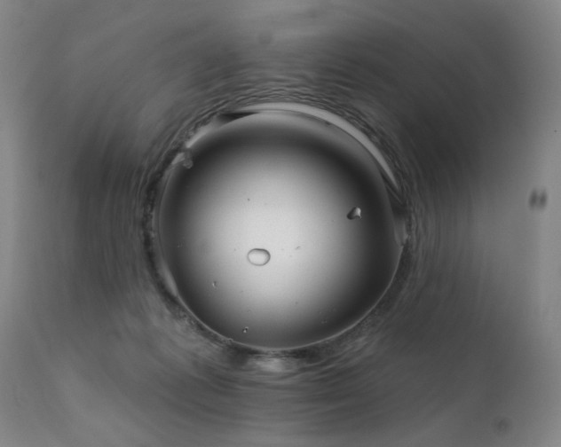 X0000111930221200907271321