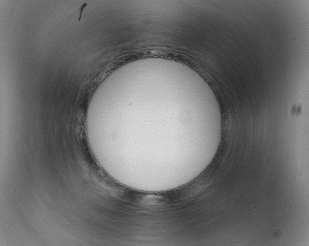 X0000111930222200907271321