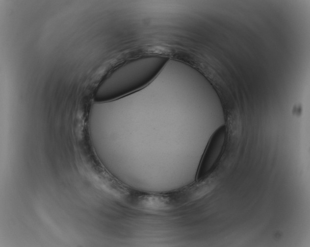 X0000111930223200907271321