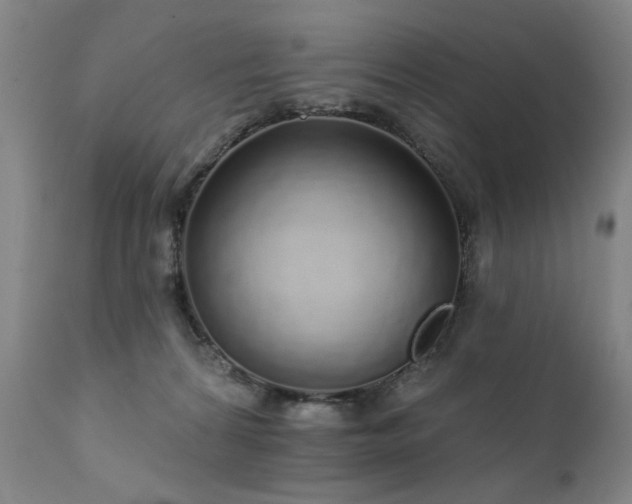X0000111930224200907271321