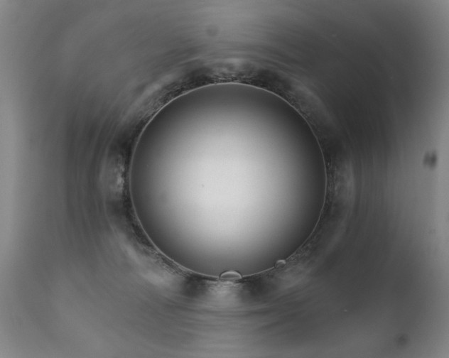 X0000111930226200907271321