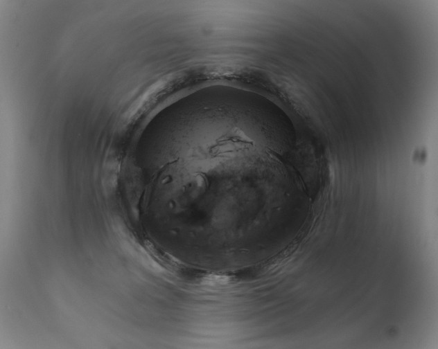 X0000111930227200907271321