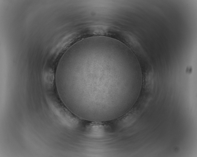 X0000111930228200907271321