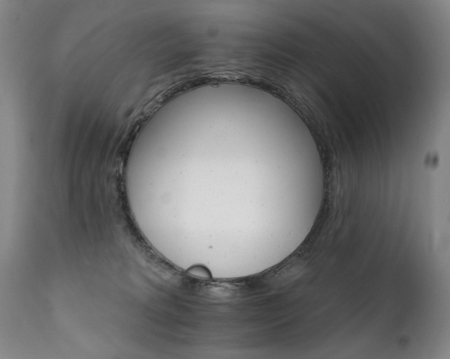 X0000111930229200907271321