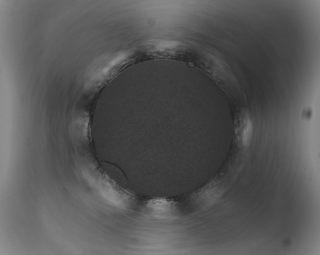 X0000111930231200907271321