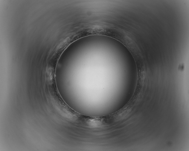 X0000111930232200907271321
