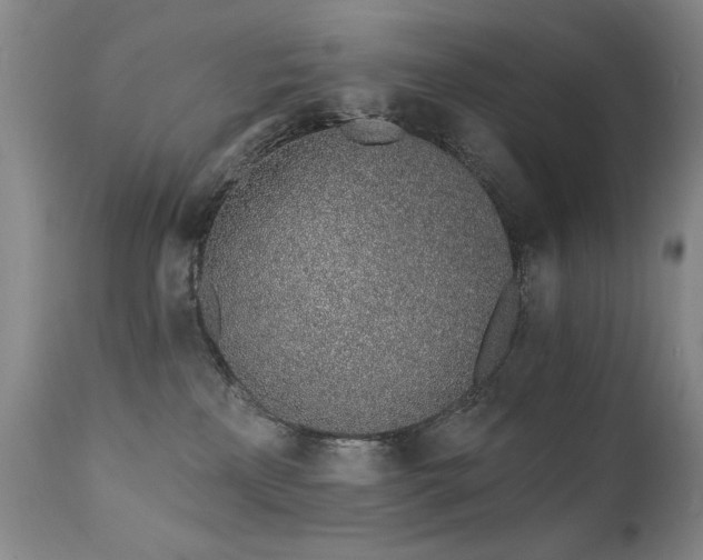 X0000111930233200907271321