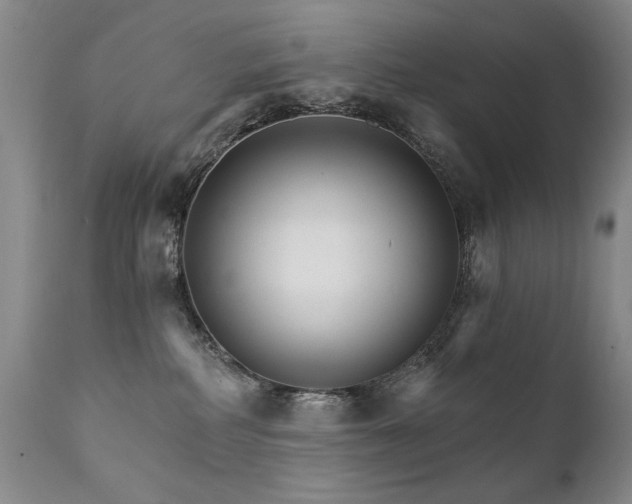 X0000111930234200907271321