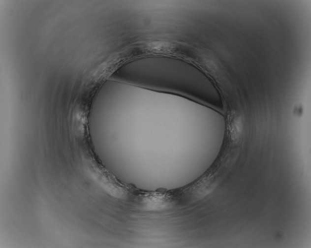 X0000111930235200907271321