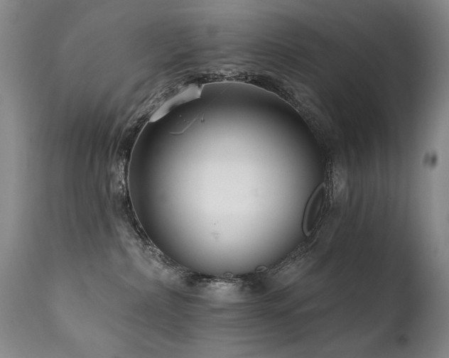 X0000111930236200907271321