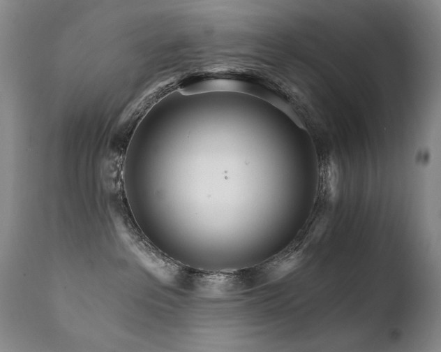 X0000111930237200907271321
