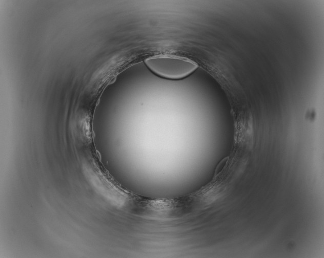 X0000111930238200907271321