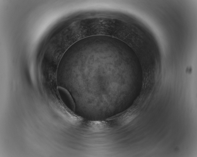 X0000111930239200907271321