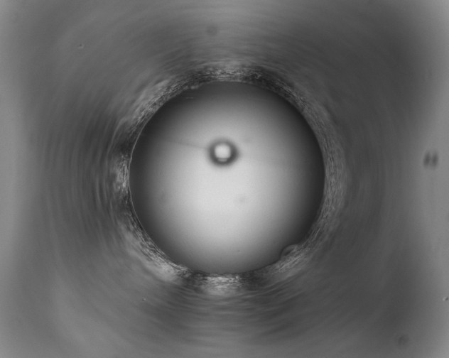 X0000111930240200907271321