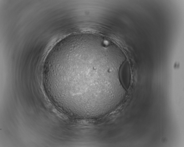 X0000111930241200907271320
