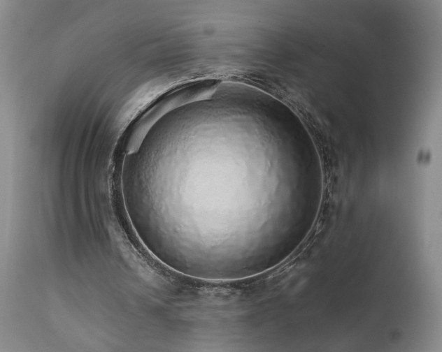 X0000111930242200907271320